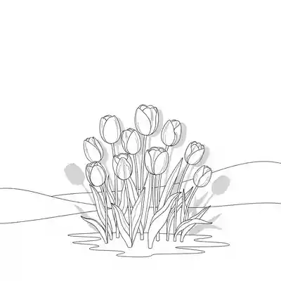 Colorful Tulip Bouquet in Spring Field (2)