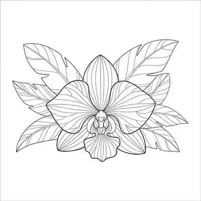 Delicate Orchid Bloom in Tropical Setting (3)
