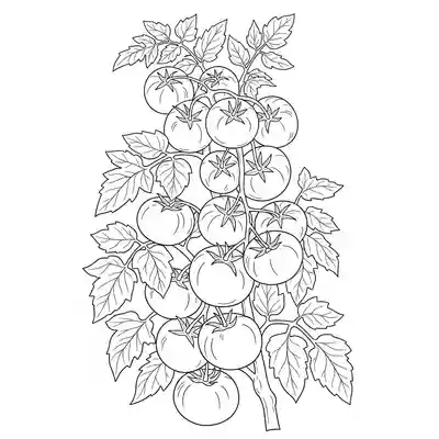 Fresh Tomato Plant Coloring Page (2)