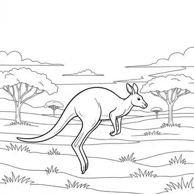 Kangaroo Hopping Across Grassy Outback Landscape (2)