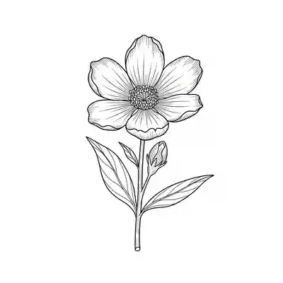 Realistic Botanical Flower Coloring Page (1)
