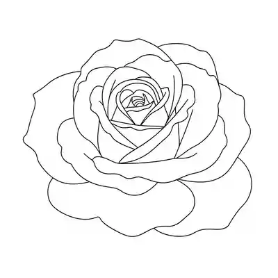 Rose Bloom Line Art Coloring Page (2)